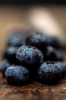 Blueberry 1855
