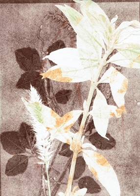 Botaniska bruna blad