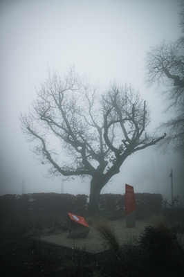 Mist Sentinel Tree