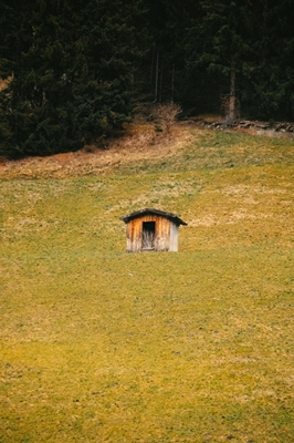 Eenzame hut