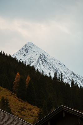 Vista otoñal de la montaña