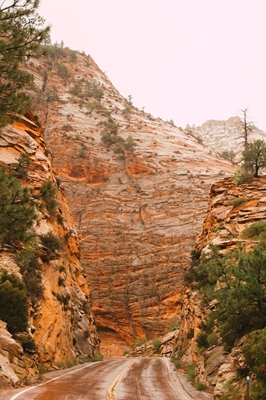 Strada del canyon di Zion