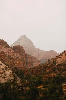 Zion Misty Peaks