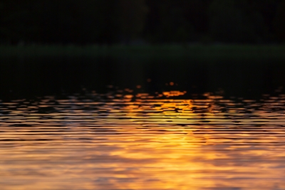 Ondas iluminadas no lago