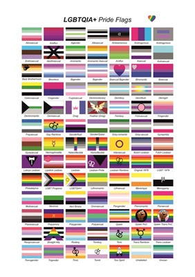 LGBTQIA+ Pride flags