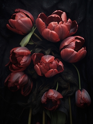 Red Tulips on Black Background
