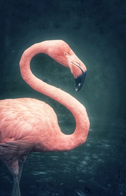 Retro Flamingo