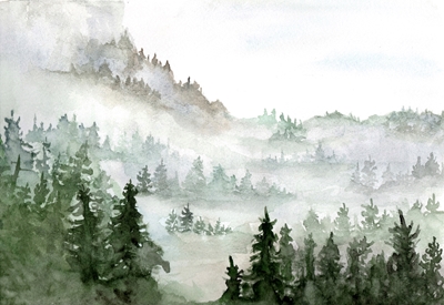 Forêt de nuages 1