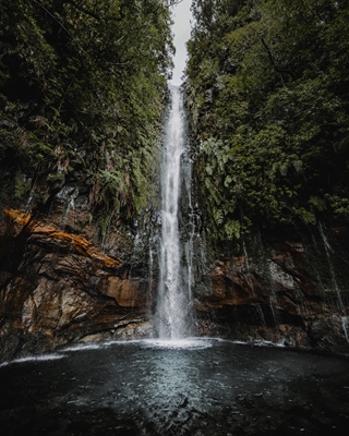 Djungelns vattenfall