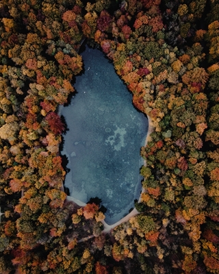 Lago en el bosque otoñal