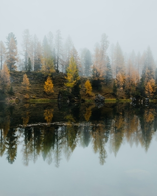 Höstens reflektion
