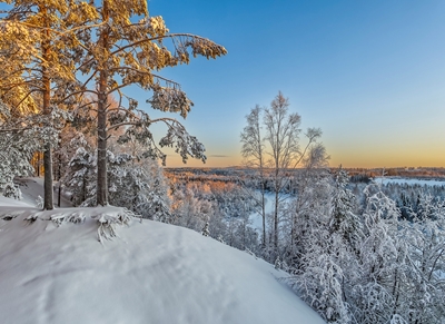 Mid-Winter Landscape 11