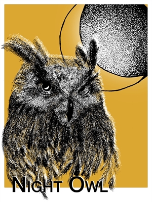 Night Owl - Nattugglan