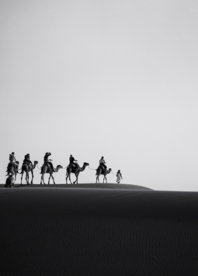 Passeio de camelo sobre dunas de areia
