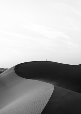 Vue sur les dunes de sable