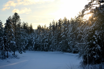 Coucher de soleil dans le paysage d’hiver