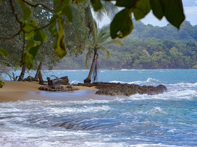 Playa Grande Limon, Kostarika