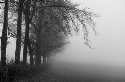 Nebbia nell'Eifel