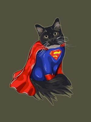Superman cat