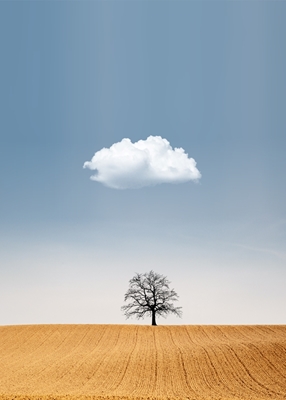 Single cloud and tree