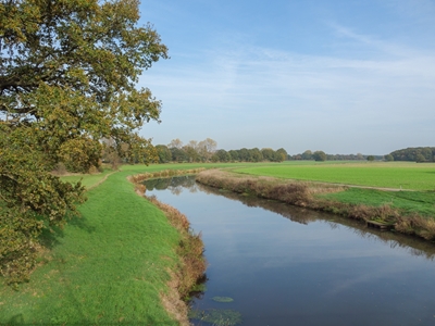 small river at autumn time