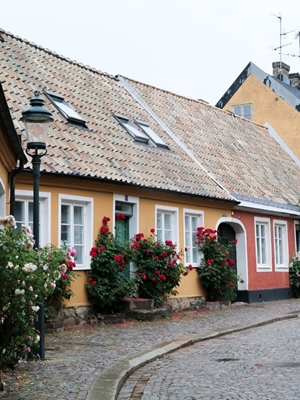 Adelgatan i Lund