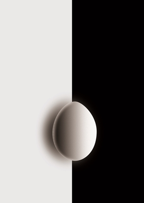 Ägget i svartvitt 