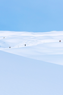 Skier in a snow landscape 