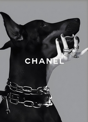 Chanel Fashion Doberman