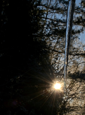 Icicle in sunshine