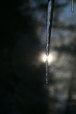 Icicle meets the sun 