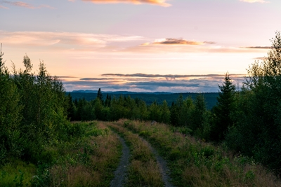 The Forest Kingdom of Jämtland