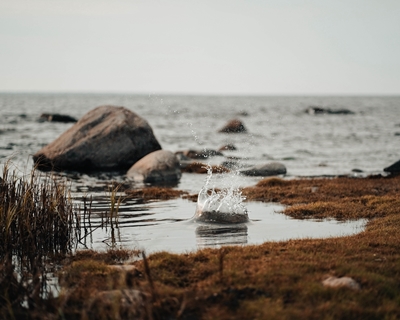 Tranquility Gotland