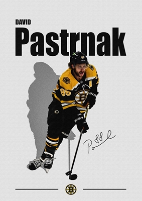 David Pastrnak Hockey