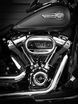 Harley-Davidson V-twin.