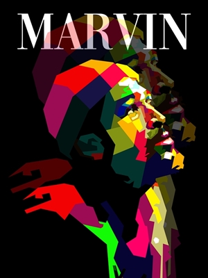 Marvin Gaye 