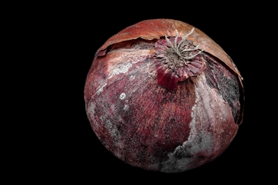 Red onion and black background