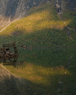 Dopp i fjord