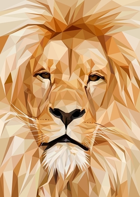 Lion Face Close Up Abstract
