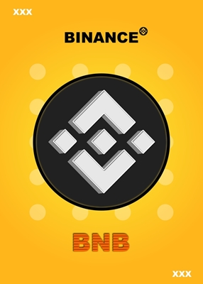 Binance BNB Crypto Asset