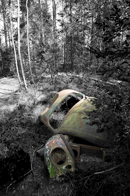 Carwreck in the nature