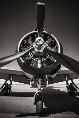 Historiska stridsflygplan