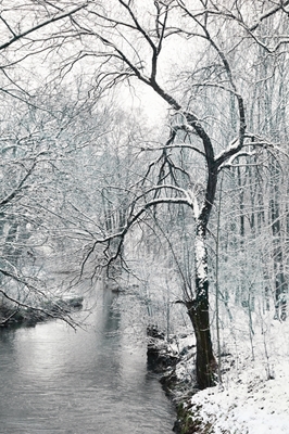 River Amper In Winter