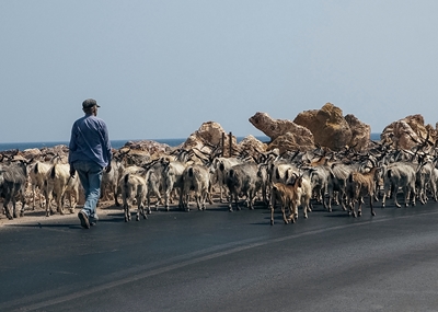 Pastýř na ostrově Samos.