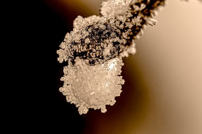 A frozen drop