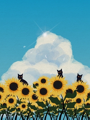 Kissa- ja auringonkukkakenttä