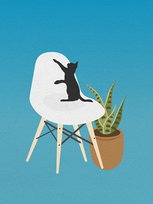 Katt på en stol på ett blått rum