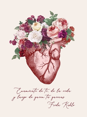 Love Anatomy / Frida's Wisdom