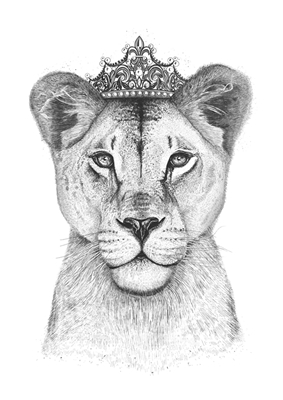 Königin der Löwin