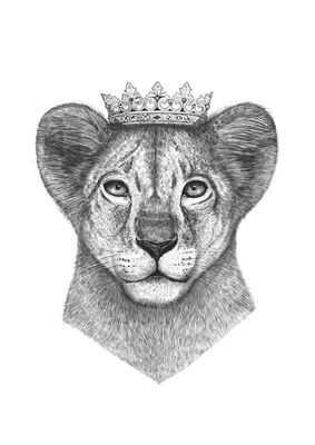 The lion prince 